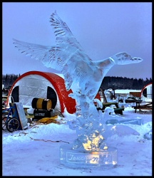 summer sunrise rooster ice carving 22.jpg