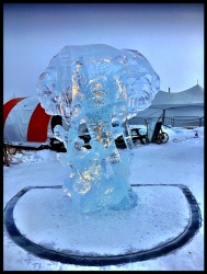 summer sunrise rooster ice carving 24.jpg