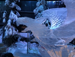 IMG_6909.JPG