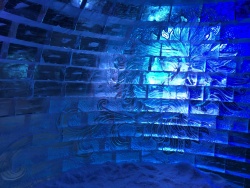 IMG_6894.JPG