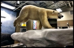 yellowknife (3).jpg