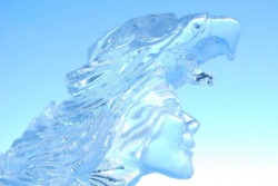 bay harbor close up eagle woman.JPG