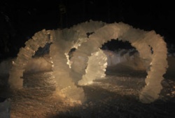 Ice Alaska ice carvings 45.JPG