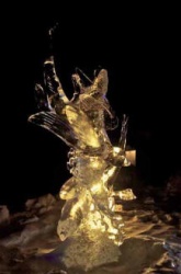 Z Ice Alaska Single Block 7.JPG