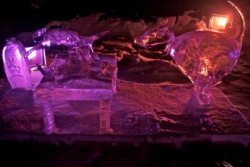 Z Ice Alaska Single Block 9.JPG