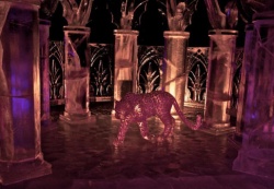 palace pet color 5.JPG