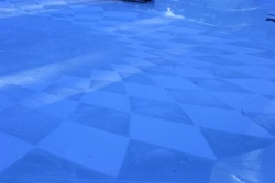 Palace pet floor.JPG
