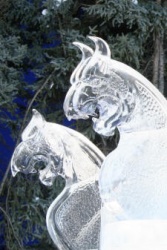 palace pet white 2.JPG