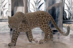 palace pet white 4 inverted.JPG