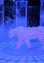 pet with floor.jpg