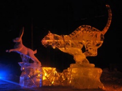 z Alaska 2011 multi block 4.JPG