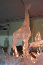 Frankenmuth snowfest 4.JPG