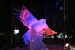 Sculpture feather fairbanks 2012 45.JPG