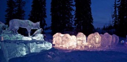 Alaska m 12 ice carving 12.JPG