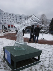 IMG_0330.JPG