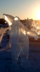 polar bear z.JPG