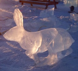 rabbit.JPG