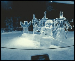 Ottawa ice carving 2014 d.jpg