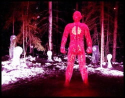 Alaska ice carving 2014 3.JPG