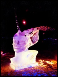 Alaska ice carving 2014 4.JPG