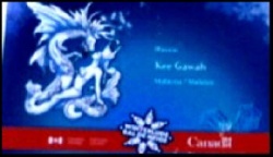 ottawa ice carving singles 8.JPG